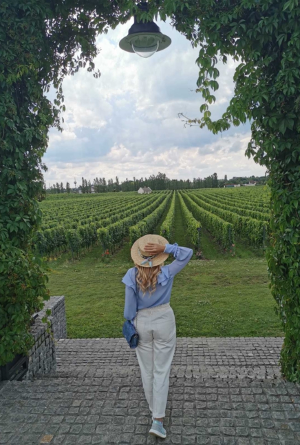 Šta obići u Subotici