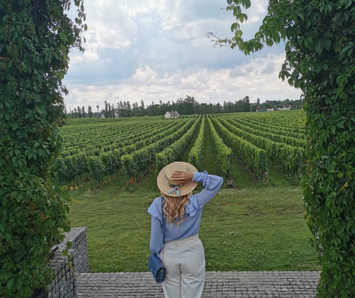 Šta obići u Subotici