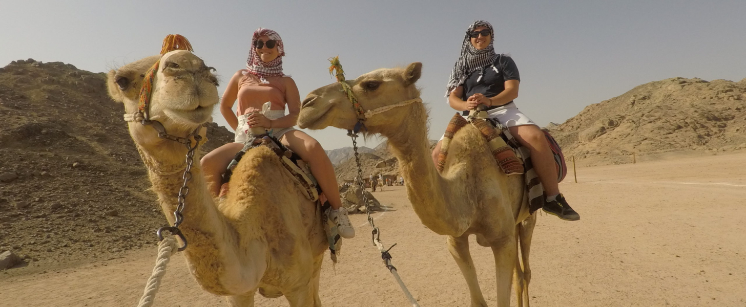 Sunrise safari i Kairo